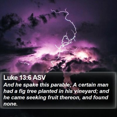 Luke 13:6 ASV Bible Verse Image