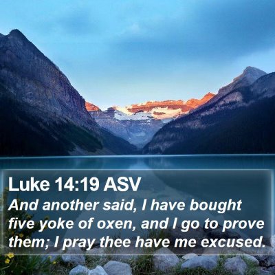 Luke 14:19 ASV Bible Verse Image
