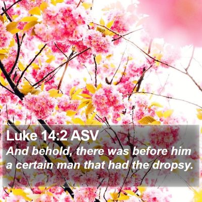 Luke 14:2 ASV Bible Verse Image