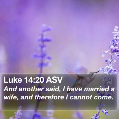 Luke 14:20 ASV Bible Verse Image