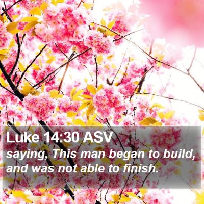 Luke 14:30 ASV Bible Verse Image