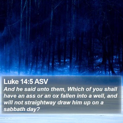 Luke 14:5 ASV Bible Verse Image