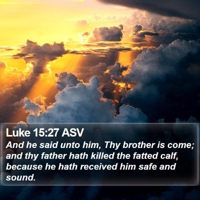 Luke 15:27 ASV Bible Verse Image
