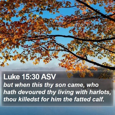 Luke 15:30 ASV Bible Verse Image
