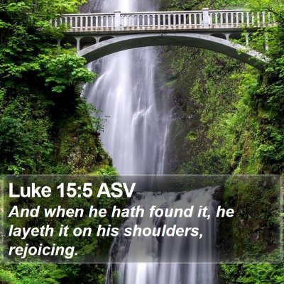 Luke 15:5 ASV Bible Verse Image