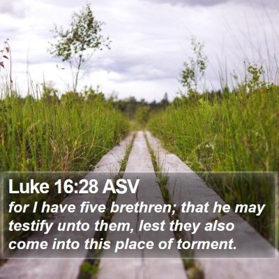 Luke 16:28 ASV Bible Verse Image