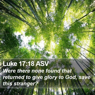 Luke 17:18 ASV Bible Verse Image