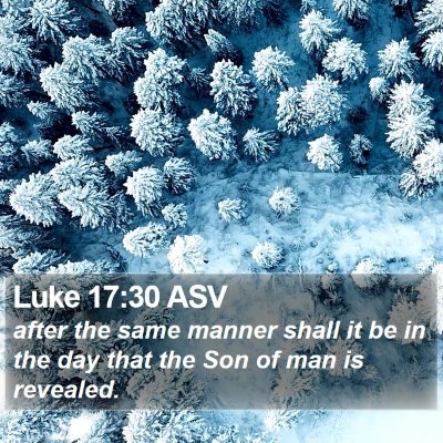 Luke 17:30 ASV Bible Verse Image