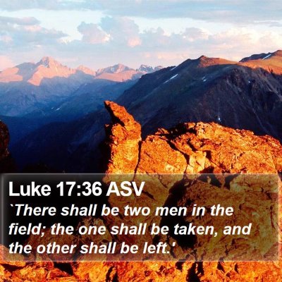 Luke 17:36 ASV Bible Verse Image