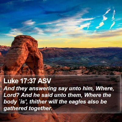 Luke 17:37 ASV Bible Verse Image