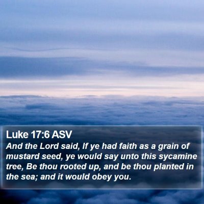 Luke 17:6 ASV Bible Verse Image