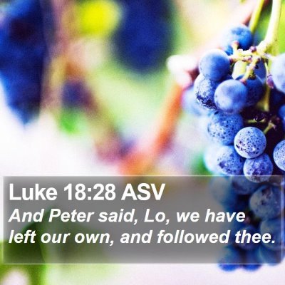 Luke 18:28 ASV Bible Verse Image