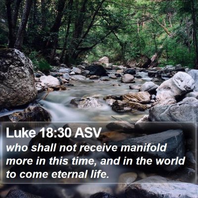 Luke 18:30 ASV Bible Verse Image