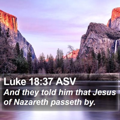 Luke 18:37 ASV Bible Verse Image