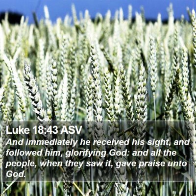 Luke 18:43 ASV Bible Verse Image