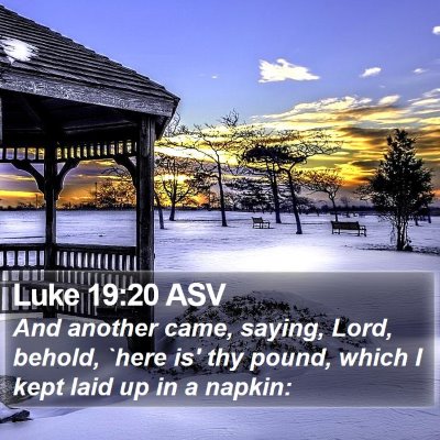 Luke 19:20 ASV Bible Verse Image