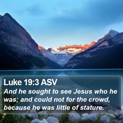Luke 19:3 ASV Bible Verse Image