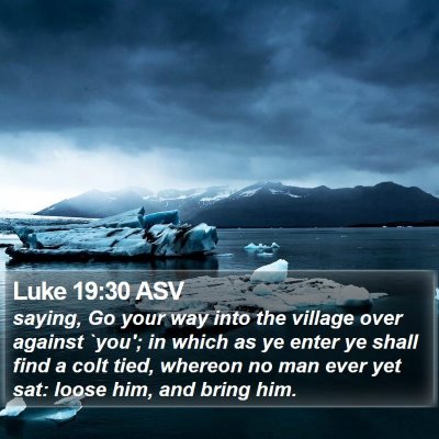 Luke 19:30 ASV Bible Verse Image