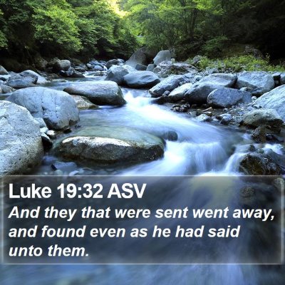 Luke 19:32 ASV Bible Verse Image