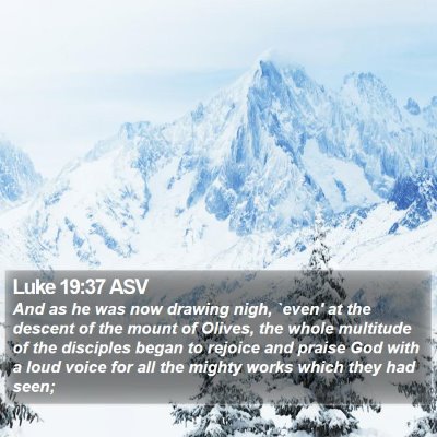 Luke 19:37 ASV Bible Verse Image