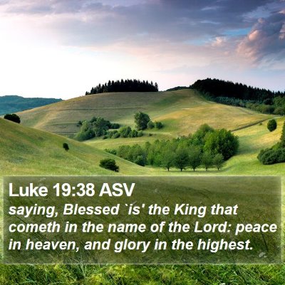 Luke 19:38 ASV Bible Verse Image