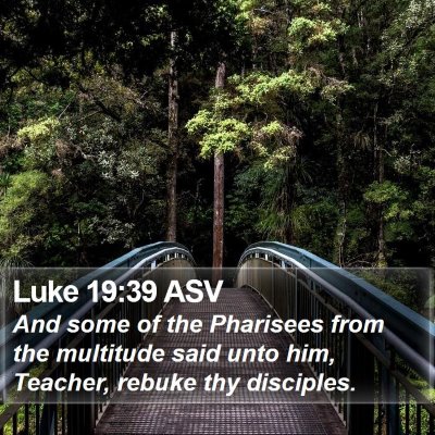 Luke 19:39 ASV Bible Verse Image