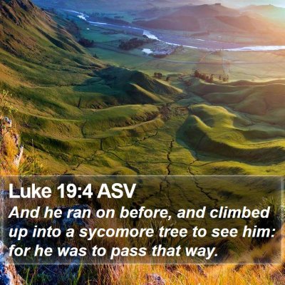 Luke 19:4 ASV Bible Verse Image