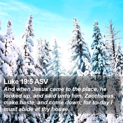 Luke 19:5 ASV Bible Verse Image