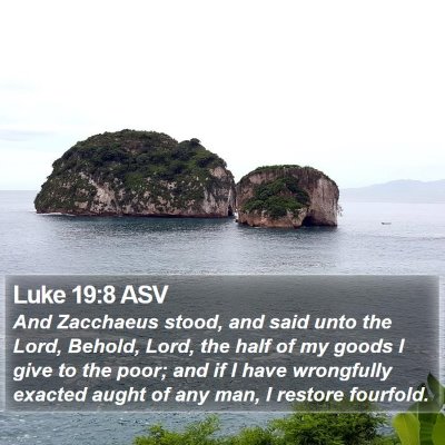 Luke 19:8 ASV Bible Verse Image