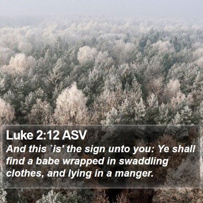 Luke 2:12 ASV Bible Verse Image