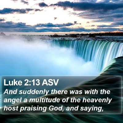 Luke 2:13 ASV Bible Verse Image