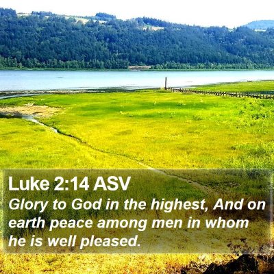 Luke 2:14 ASV Bible Verse Image