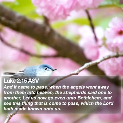 Luke 2:15 ASV Bible Verse Image