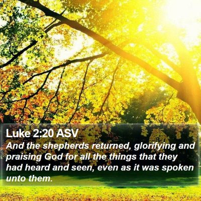 Luke 2:20 ASV Bible Verse Image