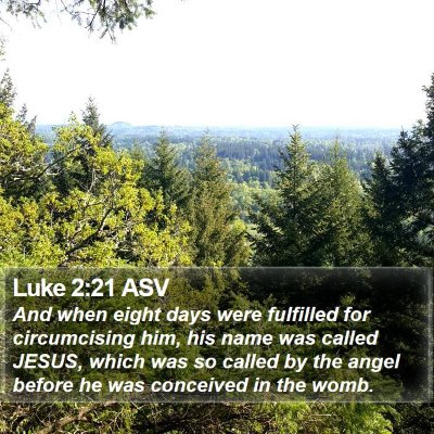 Luke 2:21 ASV Bible Verse Image