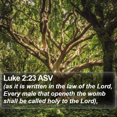 Luke 2:23 ASV Bible Verse Image