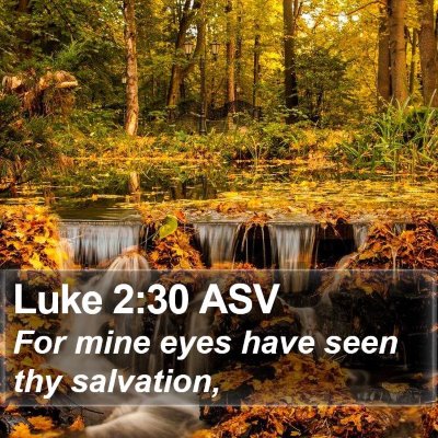 Luke 2:30 ASV Bible Verse Image