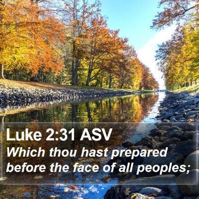 Luke 2:31 ASV Bible Verse Image