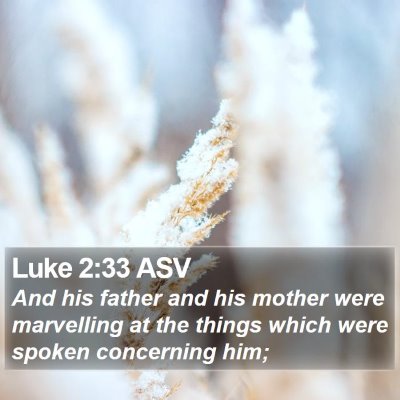 Luke 2:33 ASV Bible Verse Image