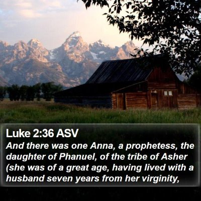 Luke 2:36 ASV Bible Verse Image