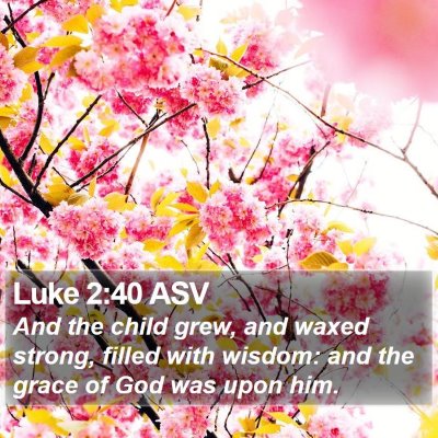 Luke 2:40 ASV Bible Verse Image