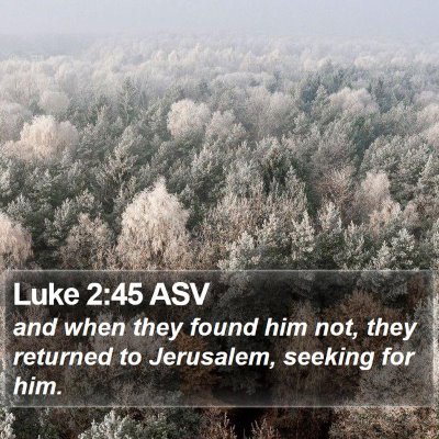 Luke 2:45 ASV Bible Verse Image