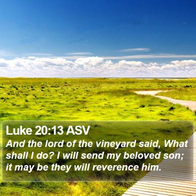 Luke 20:13 ASV Bible Verse Image
