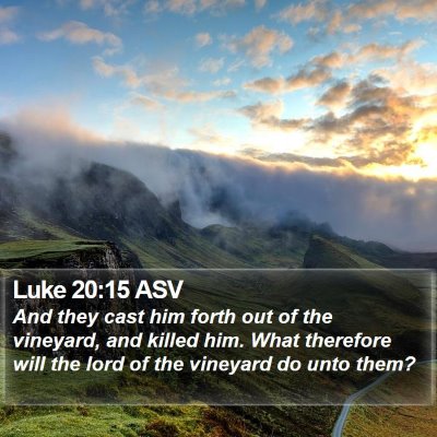 Luke 20:15 ASV Bible Verse Image