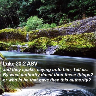 Luke 20:2 ASV Bible Verse Image