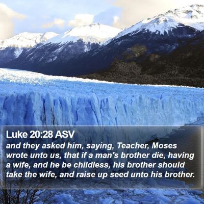 Luke 20:28 ASV Bible Verse Image