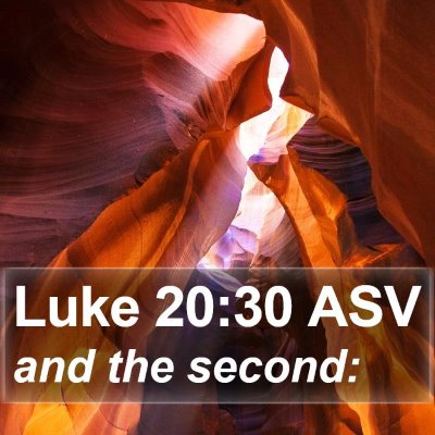 Luke 20:30 ASV Bible Verse Image