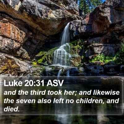 Luke 20:31 ASV Bible Verse Image