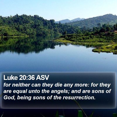Luke 20:36 ASV Bible Verse Image
