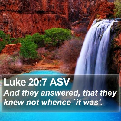 Luke 20:7 ASV Bible Verse Image